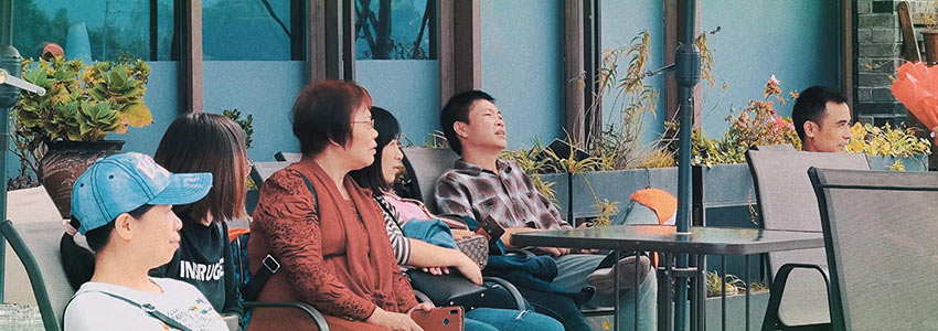 赏山悦水·拥抱自然——午夜福利视频免费观看2020金秋阳朔之旅